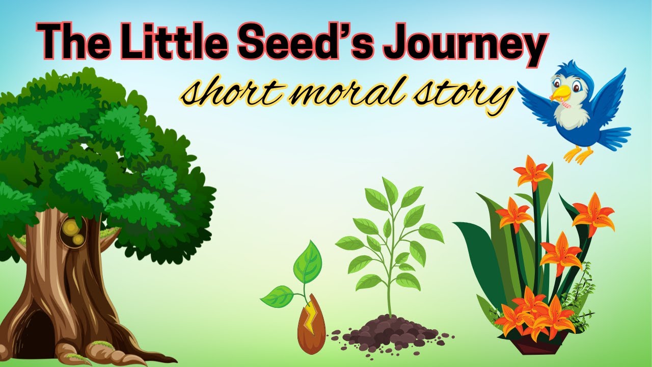 The little seed's journey | Short moral story | Best Bedtime stories ...