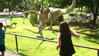 Ogden George S Eccles Dinosaur park Utah