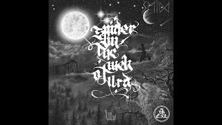 SEID ᛋᛖIᛞ - Spider In The Web Of Urd