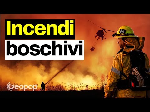 Video: Incendi boschivi: cause, tipi e conseguenze