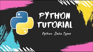 Celebrity Python Tutorial | Python Datatypes | [Part 4] Wealth