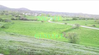 Yaroy Yaroy Ahmet Satılmış