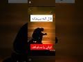 ما أجملها من سورة تبارك الرحمن ﷺ صلوا على النبي ﷺ يصلك ما أجملها من سورة تبارك الرحمن ﷺ صلوا على النبي ﷺ يصلك