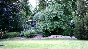 Blade MCPx Even More Inverted Hover Practice