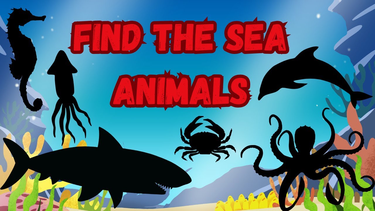 Find the Sea Animals | Fun Quiz for Kids | Fun Learning Game for Kids ...