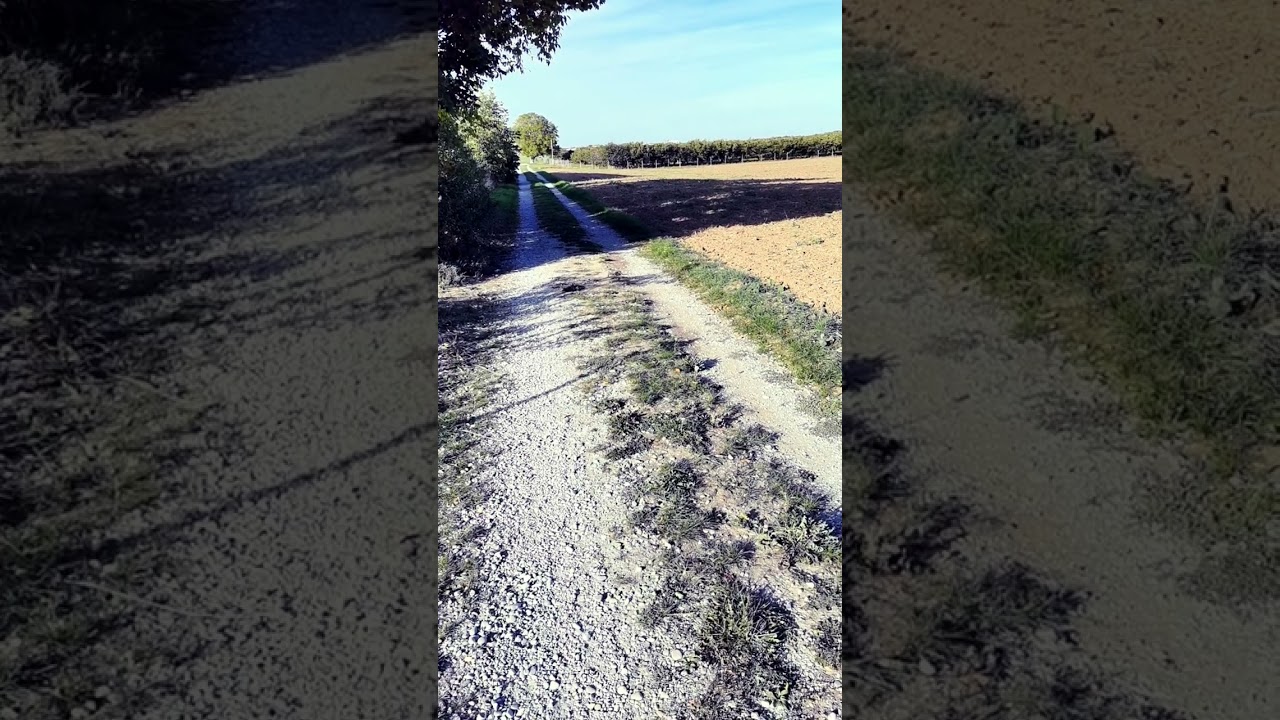 Kaip aš prailginau savo gyvenimą 200 metų.