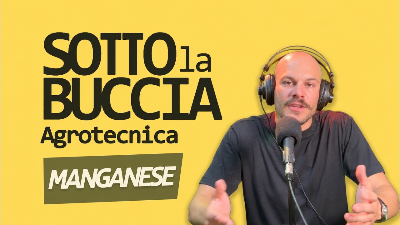 Manganese: il microelemento che difende – Agrotecnica