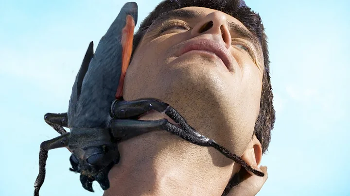 9 Most Dangerous Animals You Should Run Away From