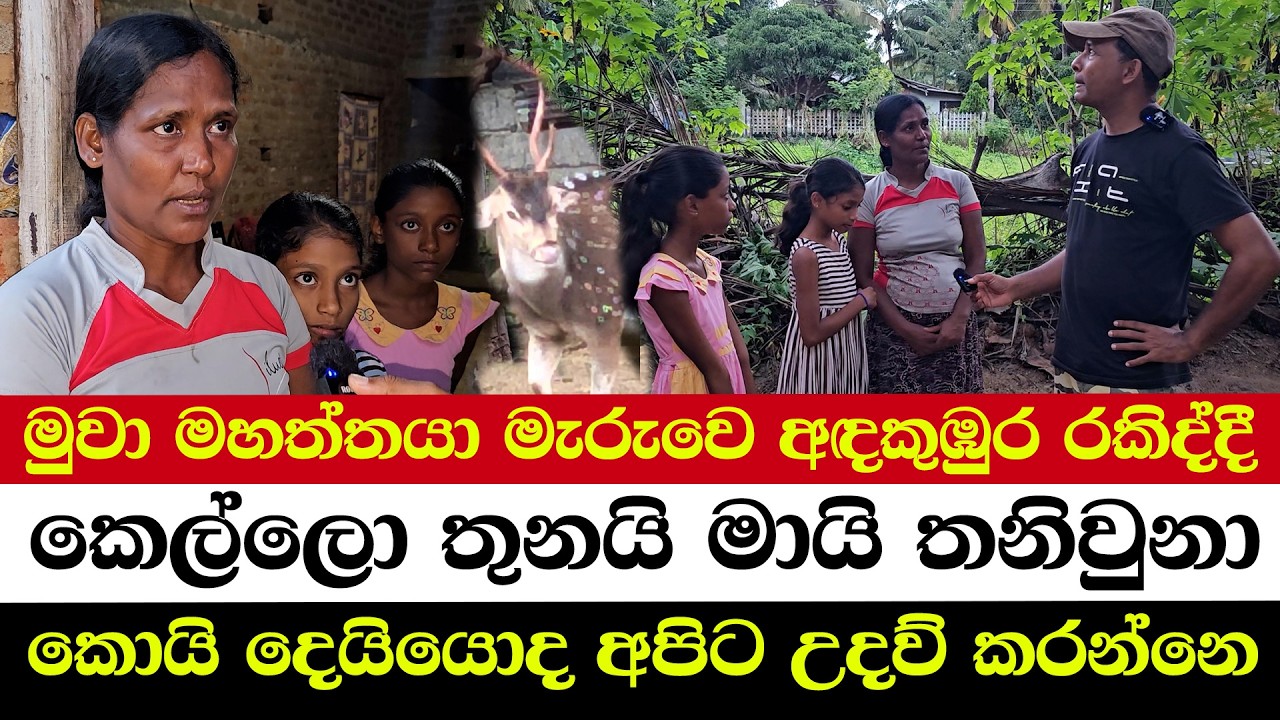 මුවා මහත්තයා මැරුවෙ අඳකුඹුර රකිද්දී | කෙල්ලො තුනයි මායි තනිවුනා | කොයි දෙයියොද අපිට උදව් කරන්නෙ