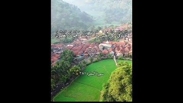 تلاوة للقارئ ريان المحيسني وَاتَّقُوا يَوْمًا تُرْجَعُونَ فِيهِ إِلَى اللَّه