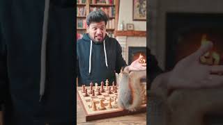 chess  ♟️ fun fun #chess #fun #came #game #theweeknd #broken #love #randoms #canthelpfallinginlove
