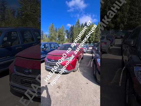#обман #copart #iaai #auction #аукцион #сша #копарт #осмотр #toyota #рекомендации