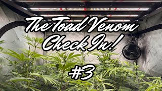 AC INFINITY TOAD VENOM CHECK IN #3!