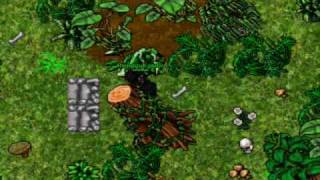 Lizard camp & Hydra egg