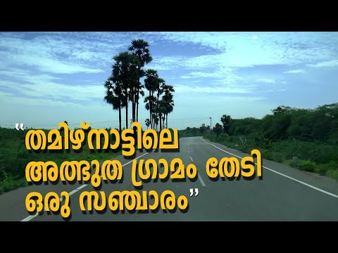 Video: Forskjellen Mellom Kerala Og Tamilnadu