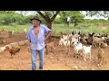 UMA PALESTRA COM SEU OLAVIO AGRICULTOR DO SERTÃO NORDESTINO BRASILEIRO