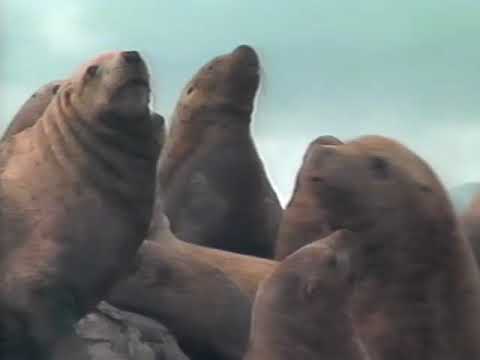 Alaska's Inside Passage still