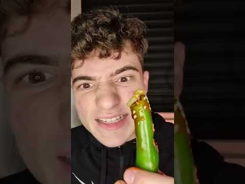 Jalapeño w/ EVERYTHING Challenge - ,