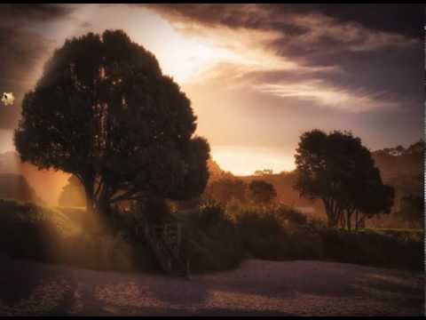 Shine App Realtime Light-Rays
