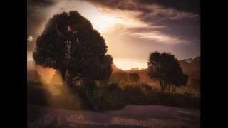 Shine App Realtime Light-Rays