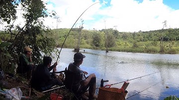 Câu đài bạo lực - Pha hụt cá tiếc nuối