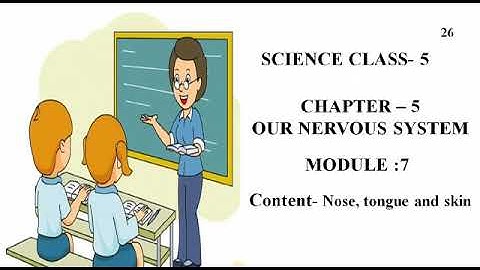 Our Nervous System!Nose,tongue andSkin! Lecture-7!Science!Class-5 CBSE Board