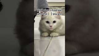 The Reason You Cant Sleep