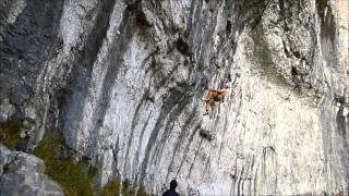 Oak 29 9 Two Best Goes