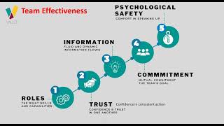 Valize Team Effectiveness Diagnostic