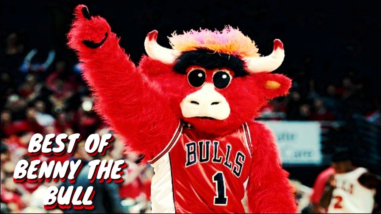 Best of Benny the Bull - YouTube