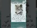 إذا نجحت في خداع أحد فلا تظن٠٠روائع الكلام mp3