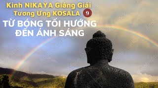 Kinh NIKAYA Giảng Giải - Tương Ưng KOSALA 9 - Từ Bóng Tối Hướng Đến Ánh Sáng
