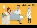 The Birth Of Lily Harry
