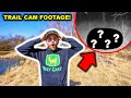 WHAT is Living INSIDE My ABANDONED High-Fence RANCH?!?! (Tons of Trail Cam Footage!)