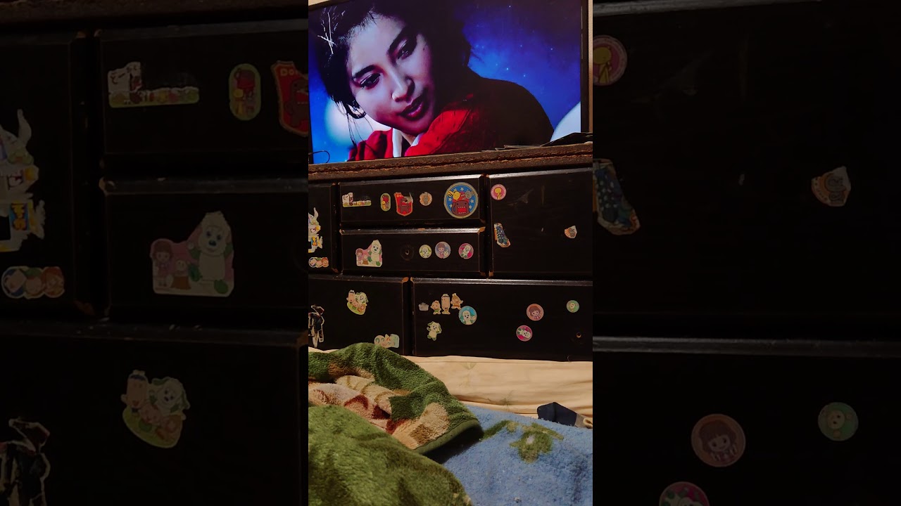 タイプワイルド