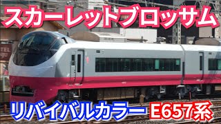 【紅色】E657系 リバイバルカラー 第2弾 K12編成 スカーレットブロッサム 特急ひたち・ときわ【4K】