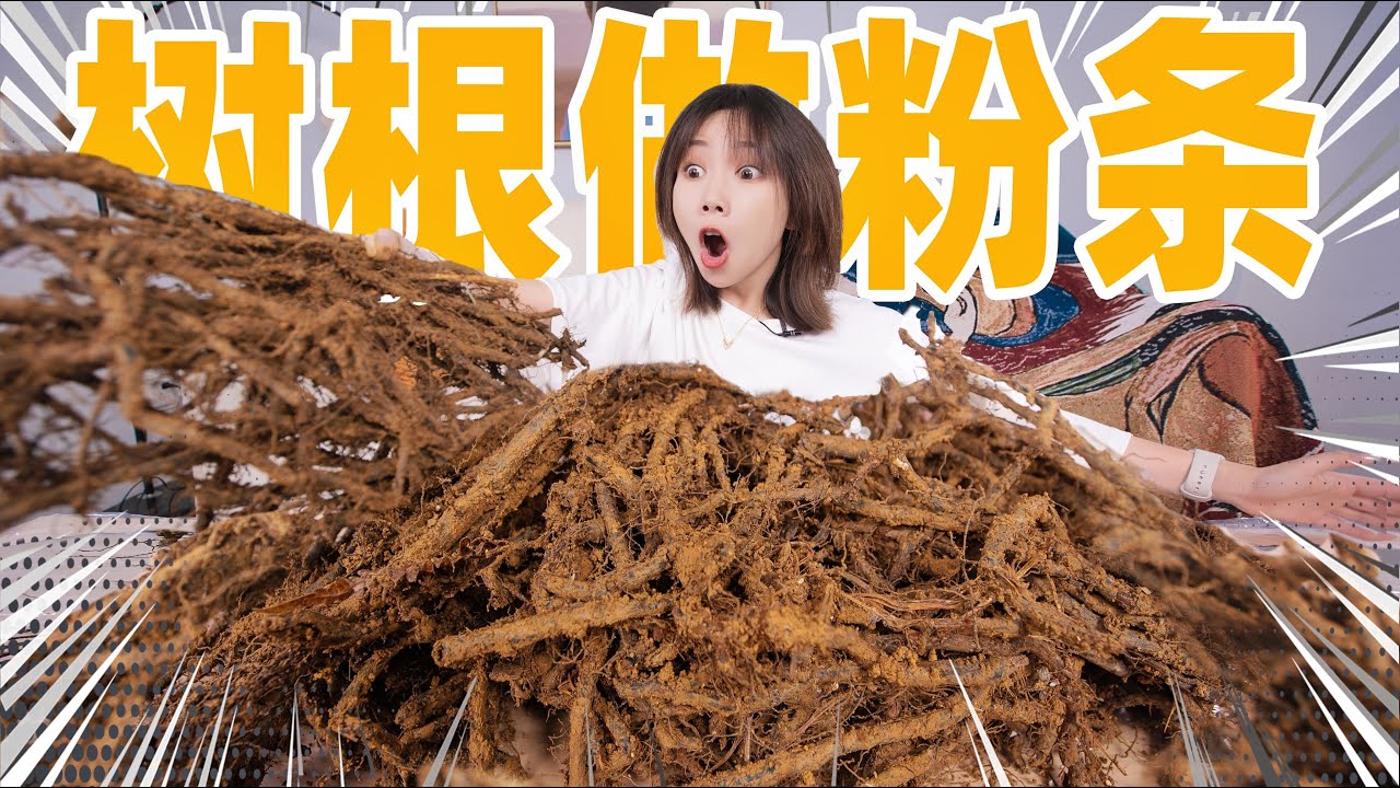 捣碎1000根老树根磨粉！做粉条！| Homemade Fern Root Powder