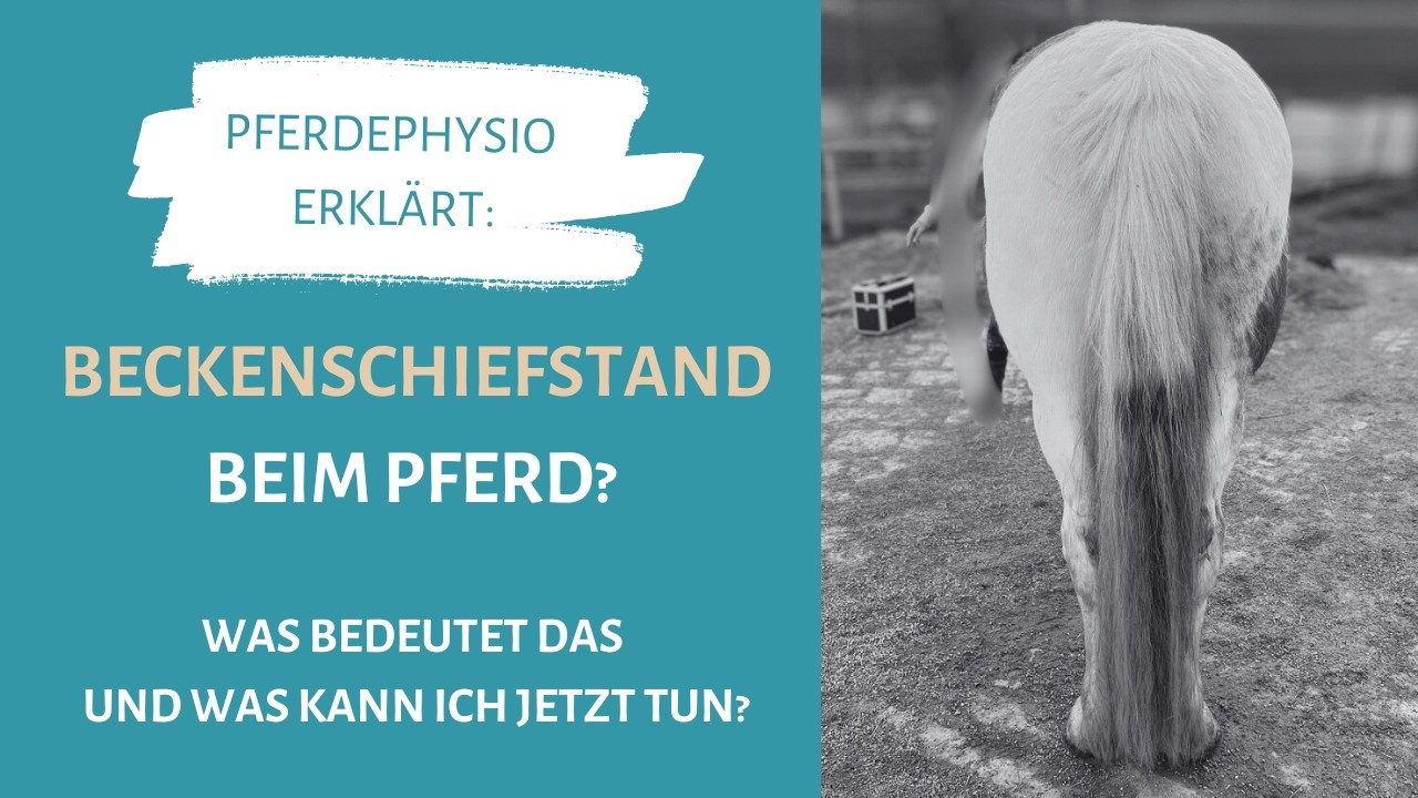 Beckenschiefstand beim Pferd? Und was jetzt?