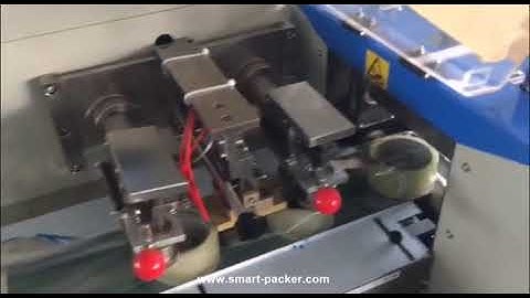 Servo driven type tape roll horizontal feeding film wrapping bag filling sealing machine HFFS