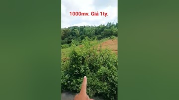 19m mặt tiền đường nhựa. giá 1ty. suối rao châu Đức brvt #bds #dat