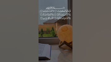 سورة الكافرون ❤️🕊️ ارح سمعك #سورة_الكافرون #اكسبلور #explore #fypシ #قرآن