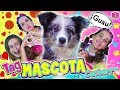 TAG de la MASCOTA CACHORRO 🐶 Cosas sobre mi perro 💖 🐺 Vídeo de risa divertido de perros cachorros