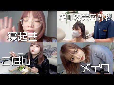 やる気がある日のふてこの1日密着