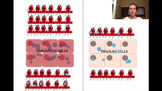 Diffuse Optical Imaging