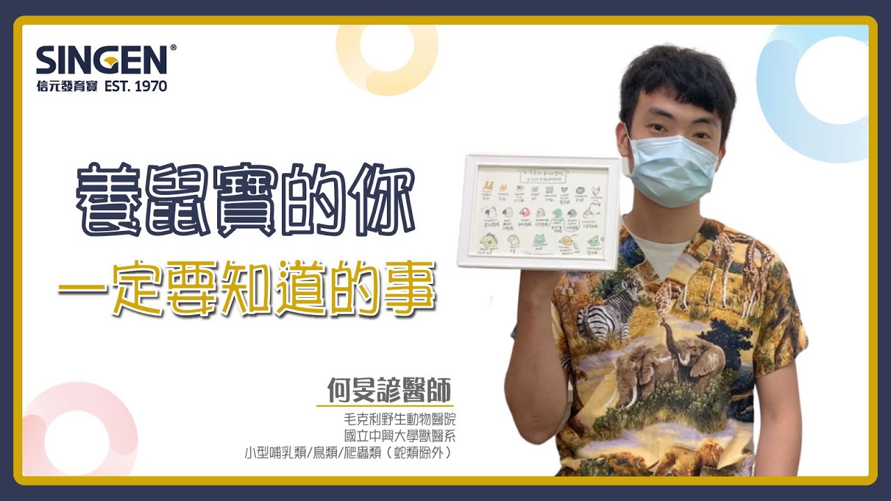 毛迷思 5 養鼠寶的你一定要知道的事ft 毛克利野生動物醫院何旻諺醫師 Youtube