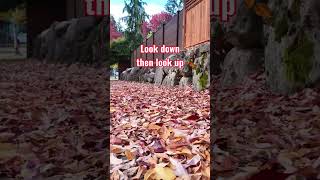 Mar - Autumn