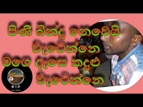 පිණි බිංදු නෙවෙයි වැටෙන්නෙ ,Pini bindhu,punsiri  soysa,sinhala song  by the road පාර