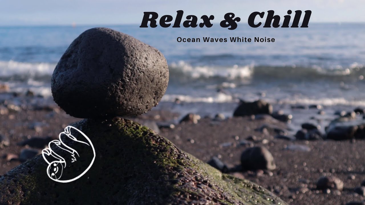 Sloth in San Diego - White Noise | Ocean Waves | Relax, Focus, Study, Sleep, Chill