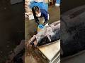 🇯🇵Japan's 200Kg Giant Tuna!