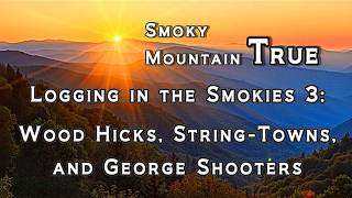 LOGGING IN THE SMOKIES 3: WOOD HICKS, STRING-TOWNS, and GEORGE SHOOTERS - Kathy Gwinn